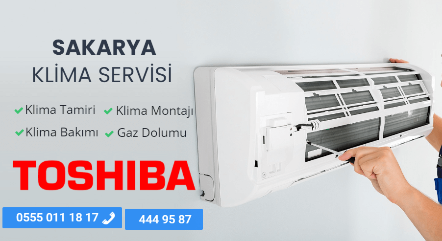 Sakarya Toshiba Servisi